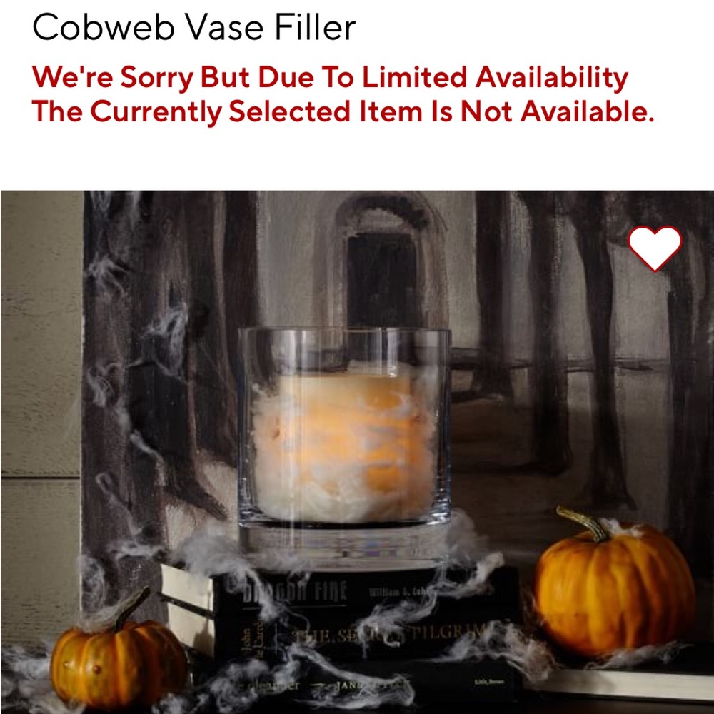 NWT Pottery Barn Cobweb Vase Filler - Rare and Hard to Find - Great quality!!!!